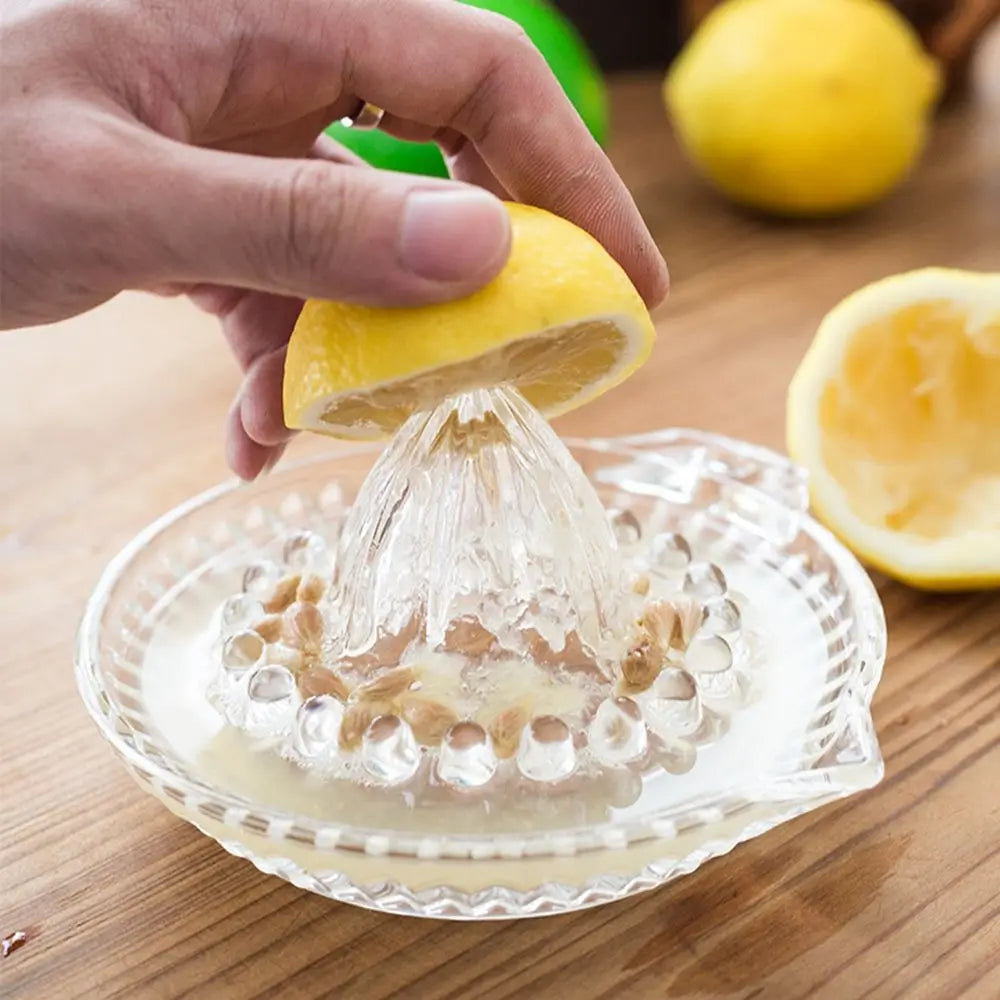 Georgina Citrus Juicer b