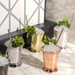 Lexington Julep Cup