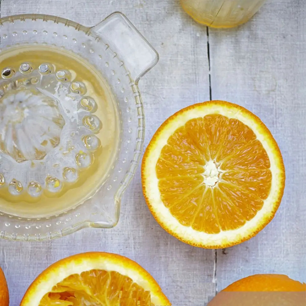 Georgina Citrus Juicer b