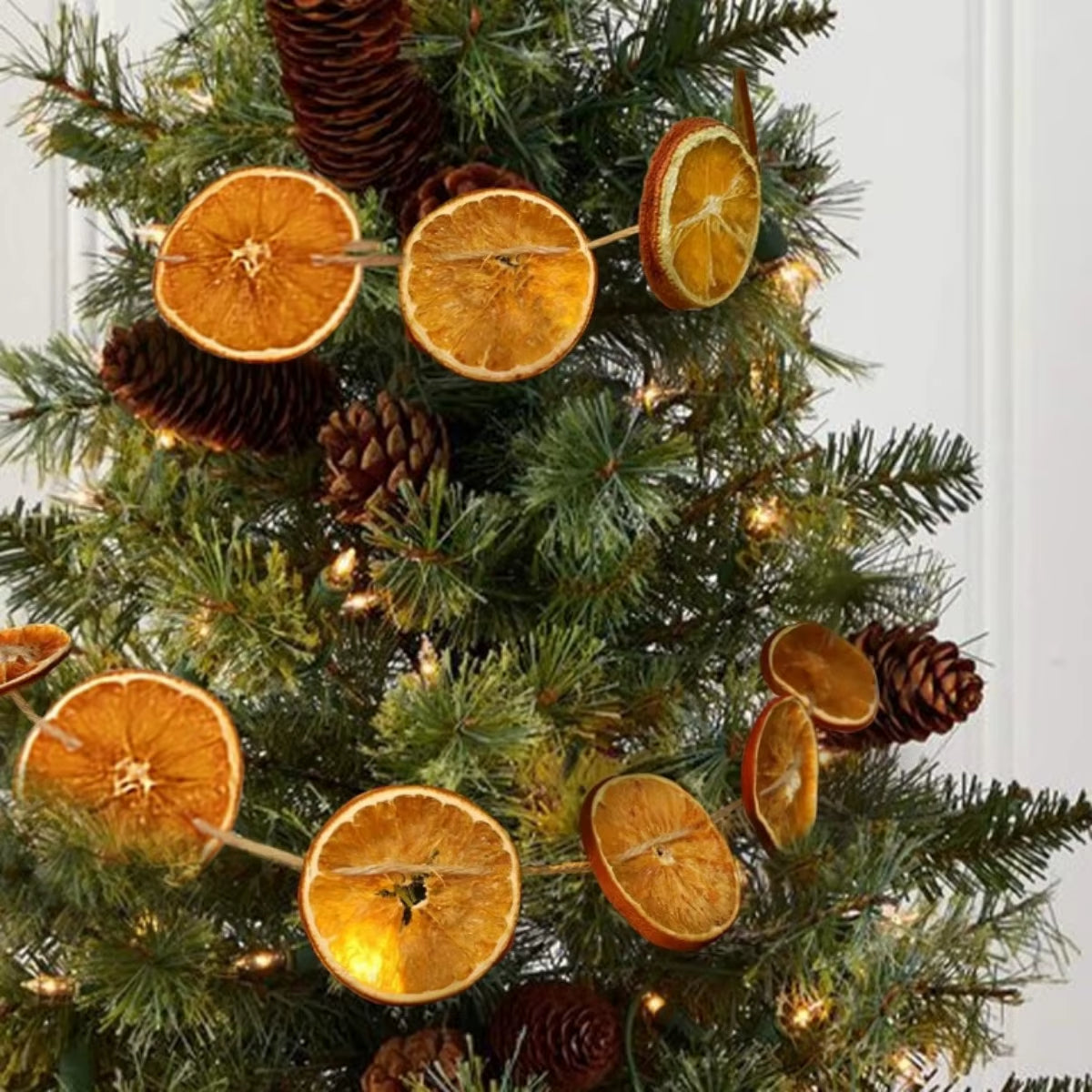 Dried Orange Garland