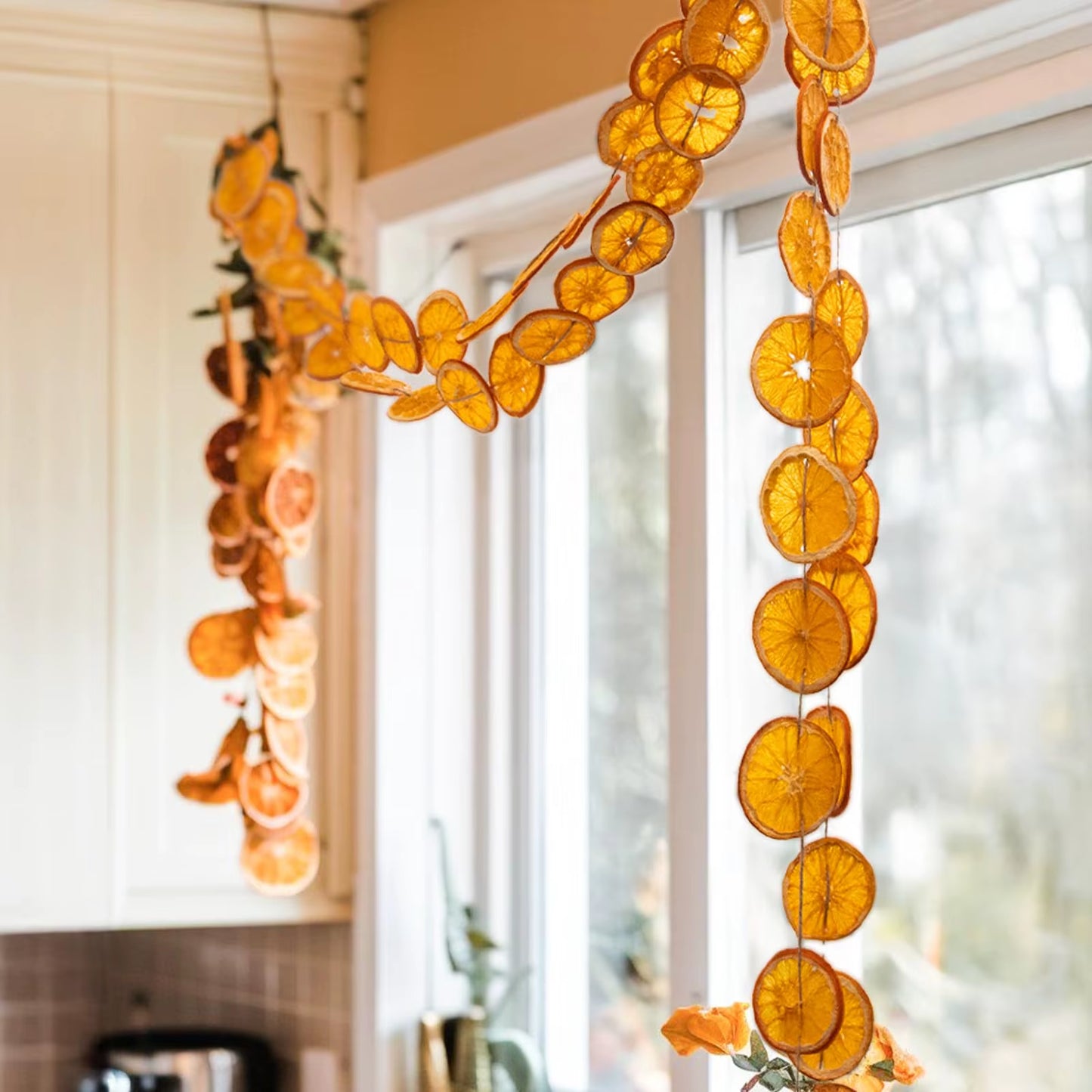 Dried Orange Garland
